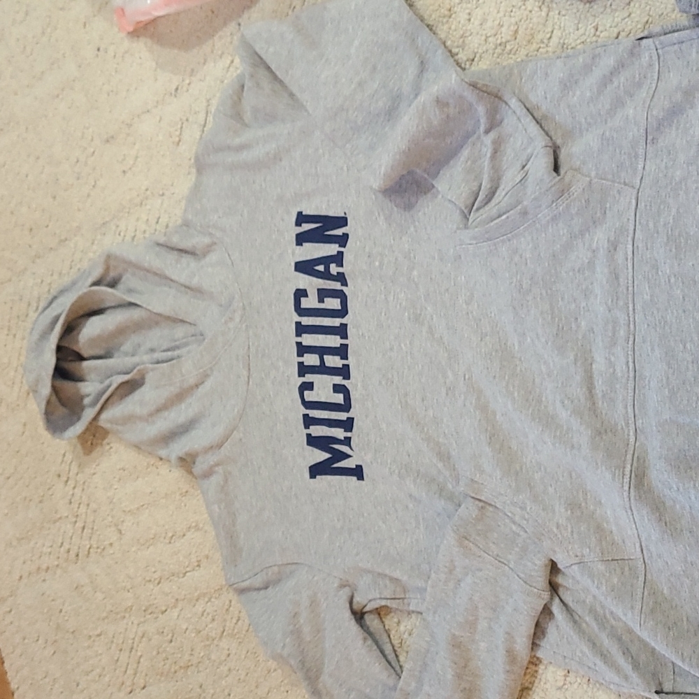 Champion hoodie
